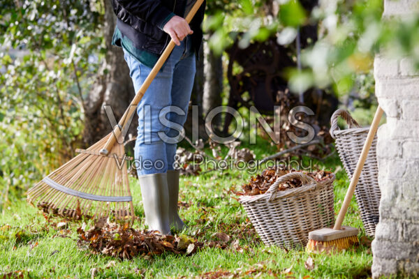 Man raking fallen leaves Man raking fallen leaves