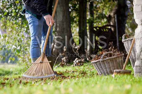 Man raking fallen leaves