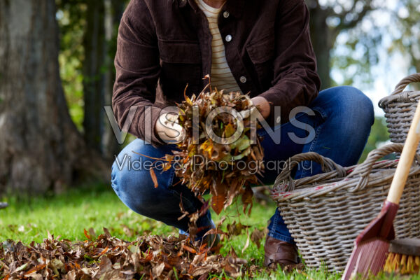 Collecting fallen leaves
