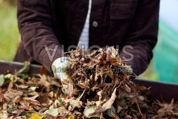 Herfstbladeren op composthoop