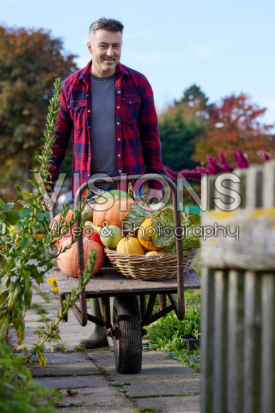 Pumpkins on plant trolley