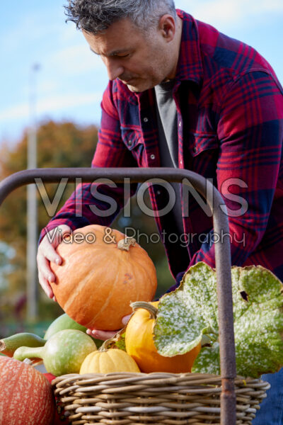 Man holding harvested pumpkin