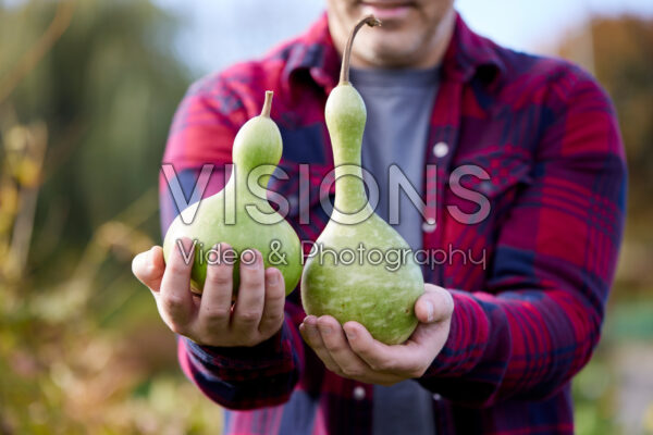 Man holding bottle gourds