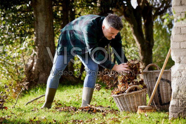 Herfstbladeren verzamelen