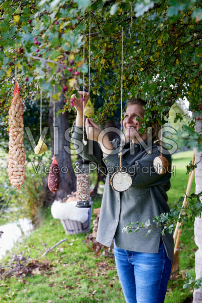 Vogelvoer in boom hangen Vogelvoer in boom hangen