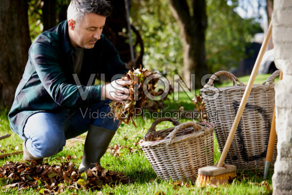 Man collecting fallen leaves