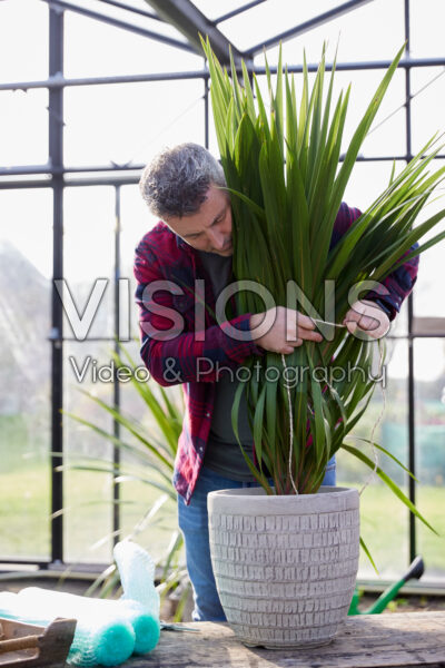 Winter plant protection Winter plant protection