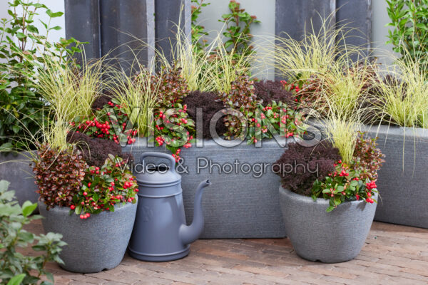 Gemengde heesters en vaste planten