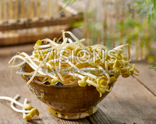 Yellow bean sprouts, Vigna radiata