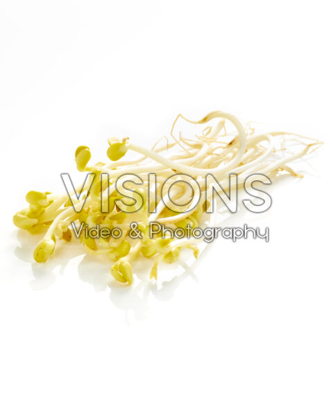 Yellow bean sprouts, Vigna radiata Yellow bean sprouts, Vigna radiata