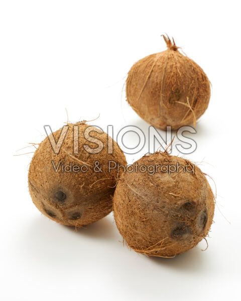 Coconuts, Cocos nucifera