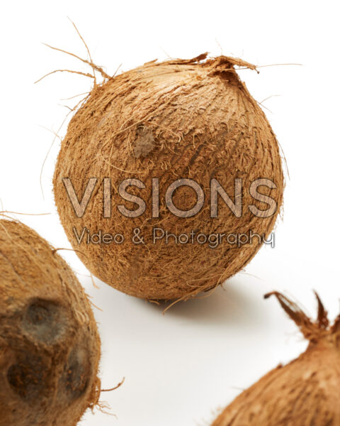 Kokosnoten, Cocos nucifera