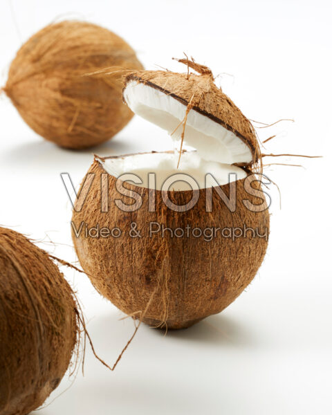 Coconuts, Cocos nucifera