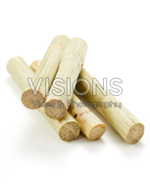 Sugarcane Mao Kan, Saccharum officinarum