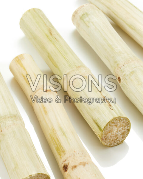 Sugarcane Mao Kan, Saccharum officinarum