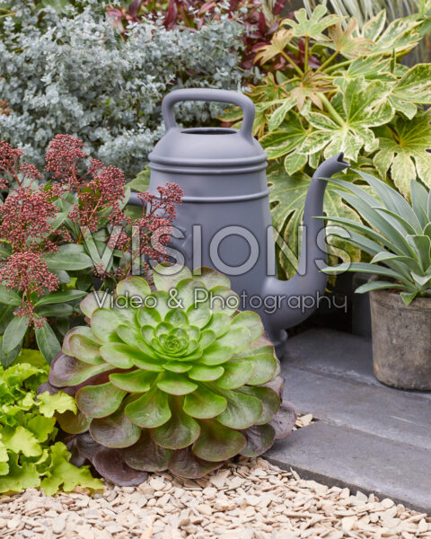 Groenblijvende tuin Groenblijvende tuin