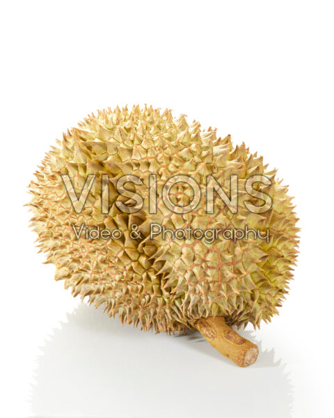 Monthong durian, Durio zibethinus