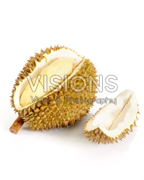 Monthong durian, Durio zibethinus