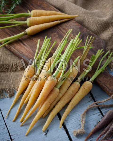 Mini bospeen geel, Daucus carota Mini bospeen geel, Daucus carota