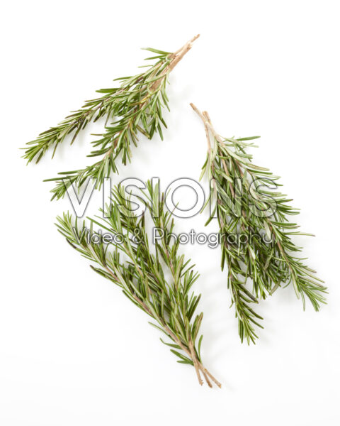Rosemary, Rosmarinus officinalis Rosemary, Rosmarinus officinalis