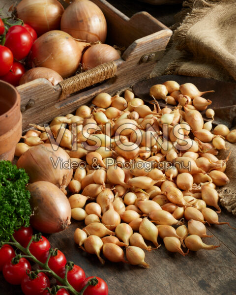 Plantuien Sturon Plantuien Sturon