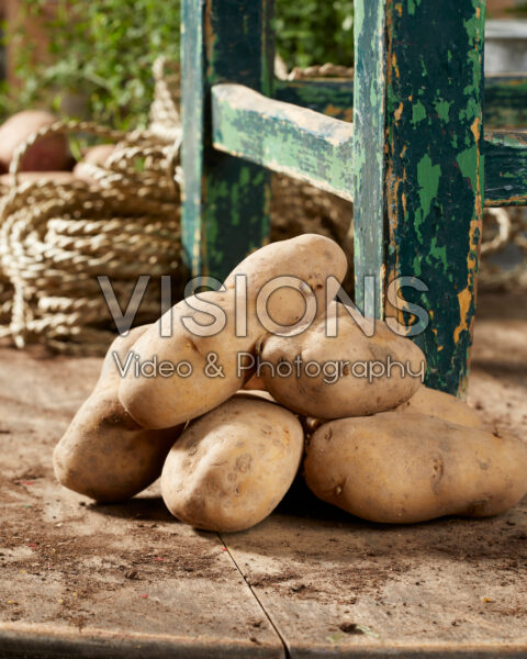 Solanum tuberosum Bintje Solanum tuberosum Bintje