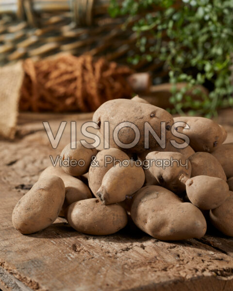 Solanum tuberosum Mandel Solanum tuberosum Mandel