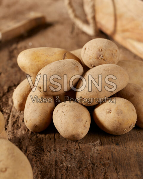 Solanum tuberosum Annabelle Eko Solanum tuberosum Annabelle Eko