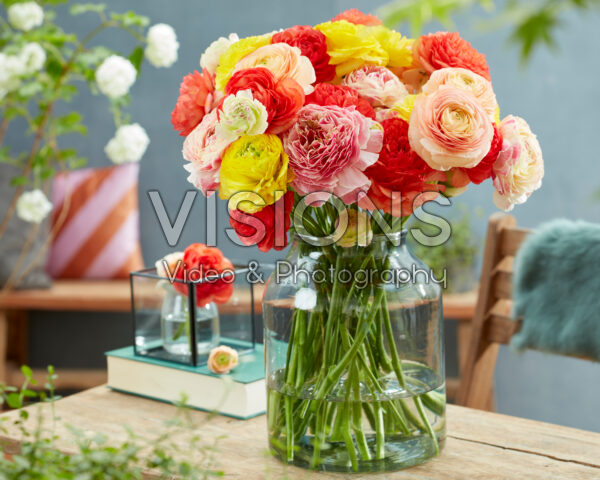 Ranunculus Romance™ gemengd boeket Ranunculus Romance™ gemengd boeket