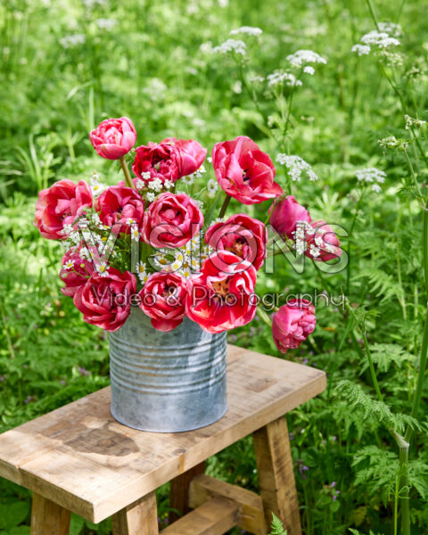 Tulipa Wedding Gift Tulipa Wedding Gift