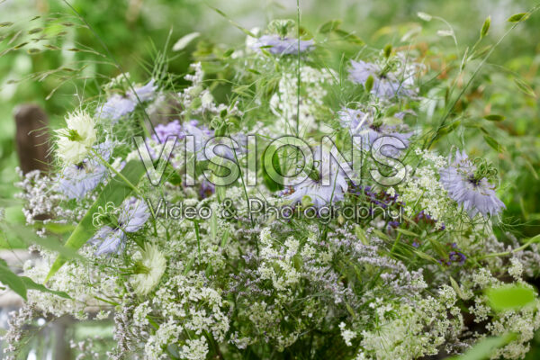 Field bouquet Field bouquet