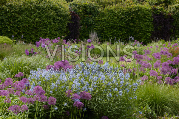 Zomertuin