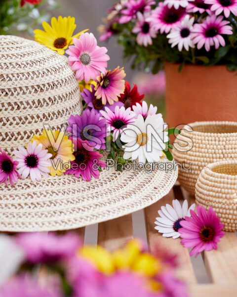 Hat decorated with African daisies Hat decorated with African daisies