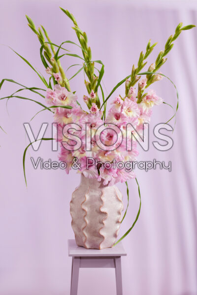 Flamencos Gladiolus Magenta Princess in vase