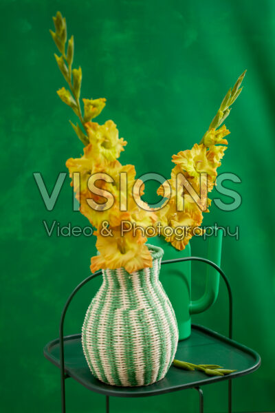 Flamencos Gladiolus Blitz in vase