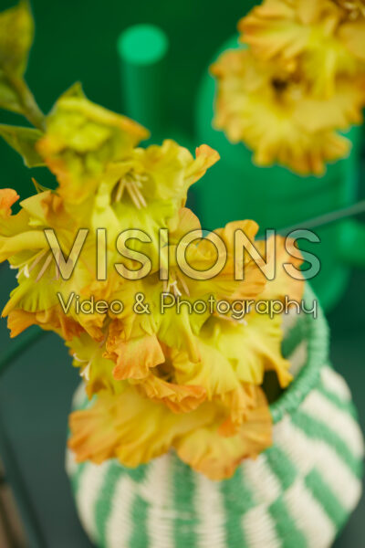 Flamencos Gladiolus Blitz in vase