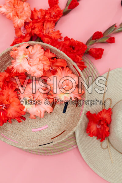 Flamencos gladiolen roze en rood