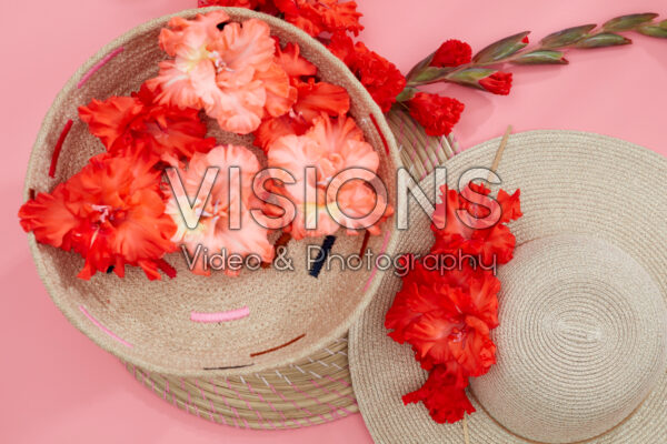 Flamencos gladioli pink and red