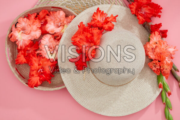 Flamencos gladioli pink and red