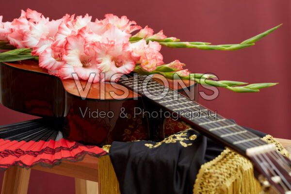 Flamencos Gladiolus Mr. Sandman bloemen Flamencos Gladiolus Mr. Sandman bloemen