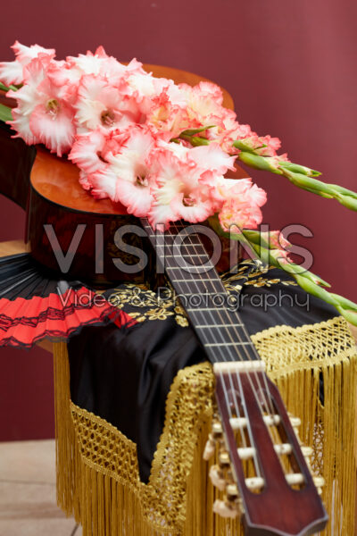 Flamencos Gladiolus Mr. Sandman bloemen