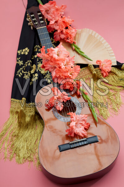 Flamencos Gladiolus Teds Frizzle bloemen