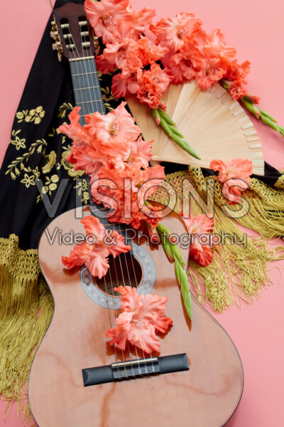 Flamencos Gladiolus Teds Frizzle bloemen