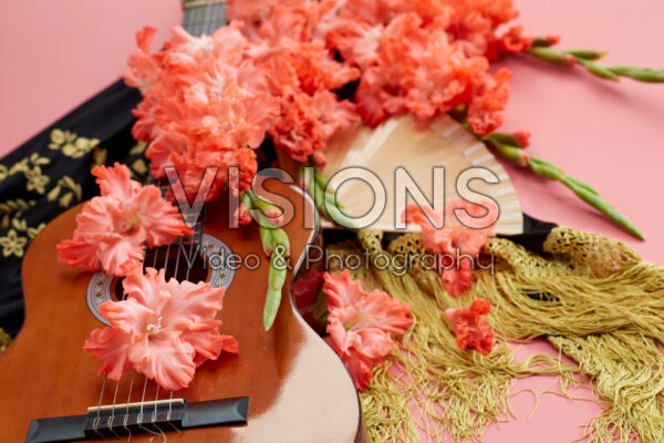 Flamencos Gladiolus Teds Frizzle bloemen