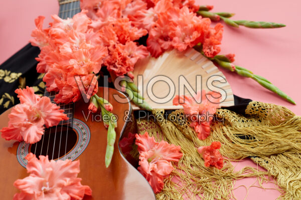 Flamencos Gladiolus Teds Frizzle bloemen