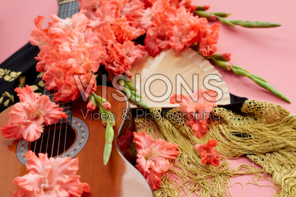 Flamencos Gladiolus Teds Frizzle bloemen Flamencos Gladiolus Teds Frizzle bloemen