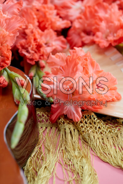 Flamencos Gladiolus Teds Frizzle bloemen Flamencos Gladiolus Teds Frizzle bloemen