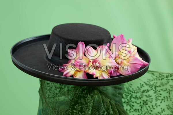 Multicoloros Gladiolus Sunbelt bloemen Multicoloros Gladiolus Sunbelt bloemen