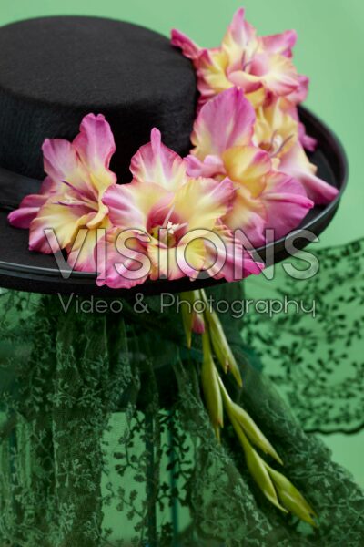 Multicoloros Gladiolus Sunbelt bloemen