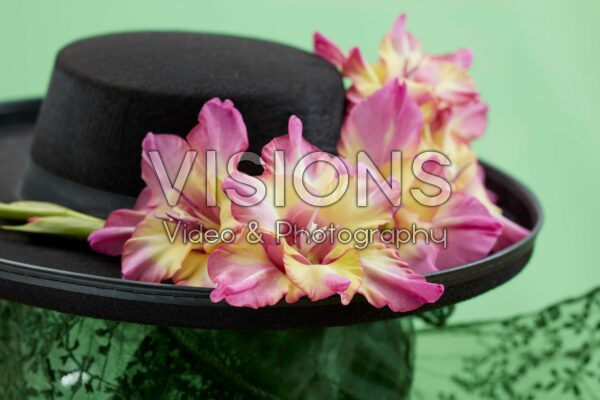 Multicoloros Gladiolus Sunbelt bloemen Multicoloros Gladiolus Sunbelt bloemen